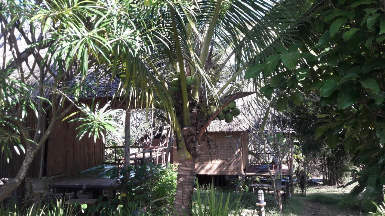 Nusha Homestay Pai Luaran gambar