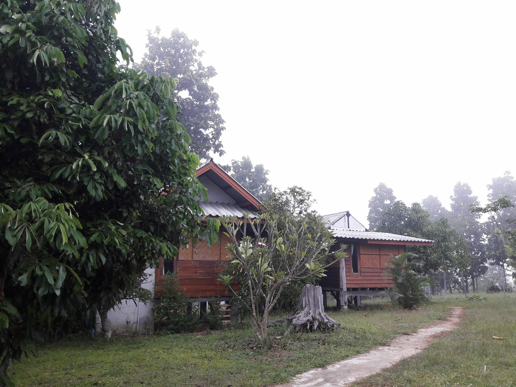 Nusha Homestay Pai Luaran gambar